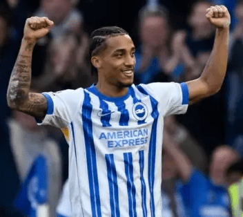 Nhận định Ngoại hạng Anh vòng 35 giữa Brighton vs Newcastle